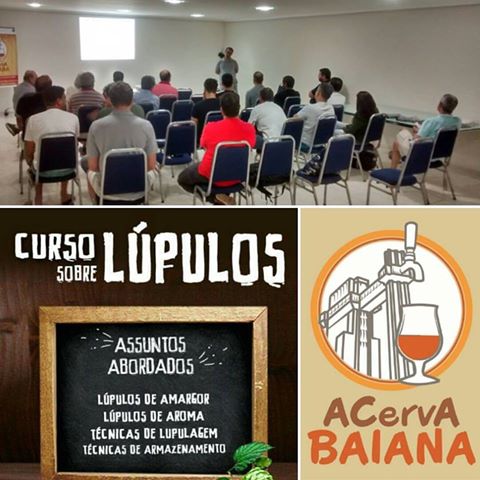 Mini Curso de Lúpulo